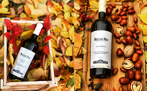 大連開家紅酒加盟店要多少錢？